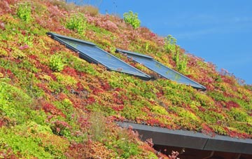 St Austell living roof systems
